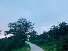 -鬼笑石后山停车场