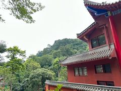 -黔灵山公园