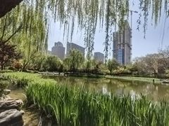 -木塔寺遗址生态公园