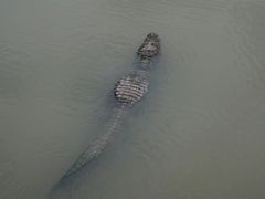 -中国扬子鳄村