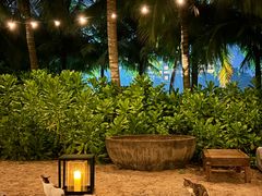 -三亚艾迪逊酒店·海滩烧烤 BARBACOA·现场乐队·浪漫晚餐·烧烤海鲜