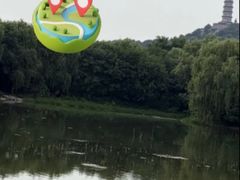 -北坞公园