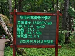 -汤旺河林海奇石景区