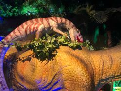 -恐龙探索乐园(磁器口店)