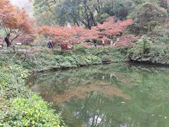 -岳麓山风景名胜区
