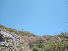 -泰山风景名胜区