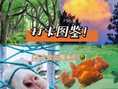 -上海辰山植物园