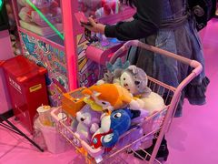 -BIG PINK大粉娃娃机主题馆(圆融星座店)