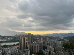 -福道