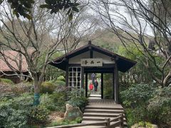 -中国茶叶博物馆(双峰馆区)