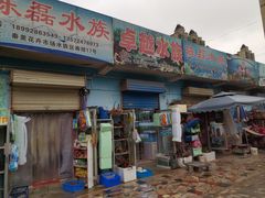 -秦美花卉(天朗·莱茵小城2期店)