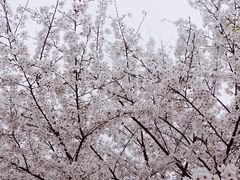 -江南大学(蠡湖校区)