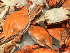 -星伦多自助料理·涮烤一体(嘉兴八佰伴店)