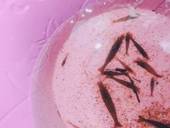 -碓臼峪自然风景区