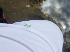 -碓臼峪自然风景区