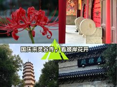 -灵谷景区