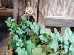 -普洱茶府(博乐广场店)