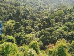 -西双版纳洲际度假酒店兰吧