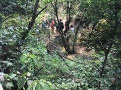-牛鱼嘴原始生态风景区
