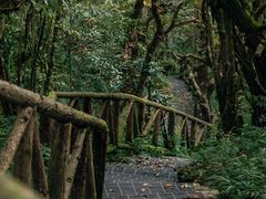 -龙苍沟森林公园