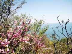 -锦州笔架山风景区