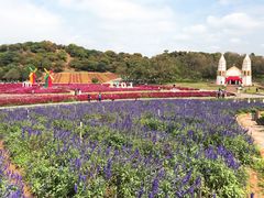 -松山湖梦幻百花洲