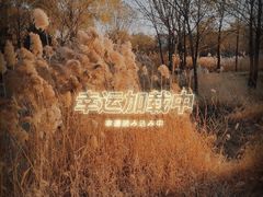 -望湖公园