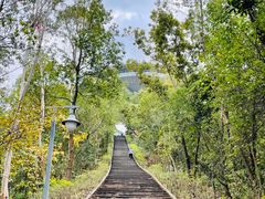 -神光山国家森林公园