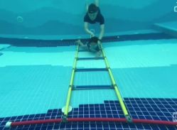 -龙格亲子游泳·水育早教运动中心(泰州海陵店)