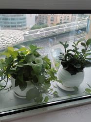 -时尚妈咪产后修复中心