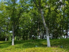 -西安创业咖啡街区