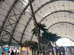 -辽宁古生物博物馆