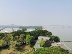 -大湾区中央湿地公园