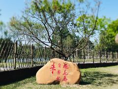 -常德桃花源景区
