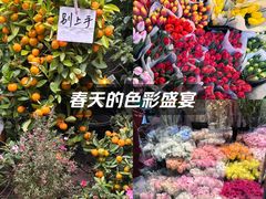 -循礼门鲜花花市(武汉循礼门店)