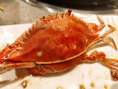 大飞蟹-乔哥铭洋海鲜自助(皇城恒隆广场店)