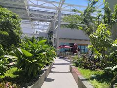 -华大咖啡(华大时空中心店)