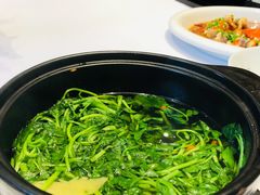 原味清汤西洋菜-逸道(益丰·外滩源店)