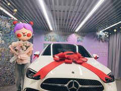 -上海星瀚奔驰4S店(红柳路店)