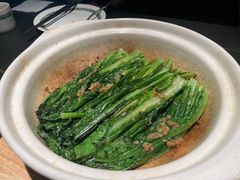 -三强鸽子(中原路店)