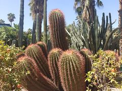 -中青旅遨游旅行旗舰店