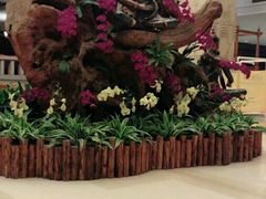 -厦门日月谷温泉渡假村