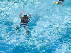 -天河体育中心游泳馆