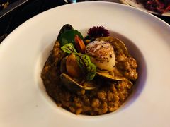 -STARRY CAFE & LOUNGE BAR(高新店)