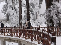 -瓦屋山景区