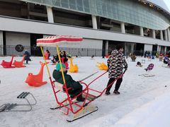 -沈阳奥体冰雪嘉年华
