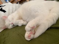 -潇湘·永州会馆(百子湾店)