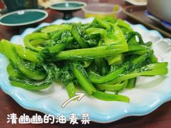 -尕西木老春台东乡手抓美食