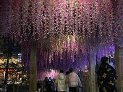 -金城公园