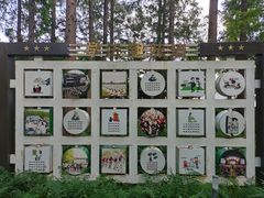 -黄海国家森林公园